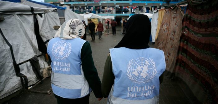 Alertamos: la retirada de fondos de la UNRWA traerá consecuencias muy graves a una población sin posibilidad de escapatoria