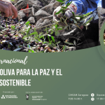 Jornada internacional del aceite de oliva para la paz y el desarrollo sostenible